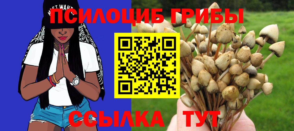 Заводоуковск  Галлюциногенные грибы GOLDEN TEACHER  что такое наркотик  Галлюциногенные грибы Psilocybine cubensis  Вход с VPN 